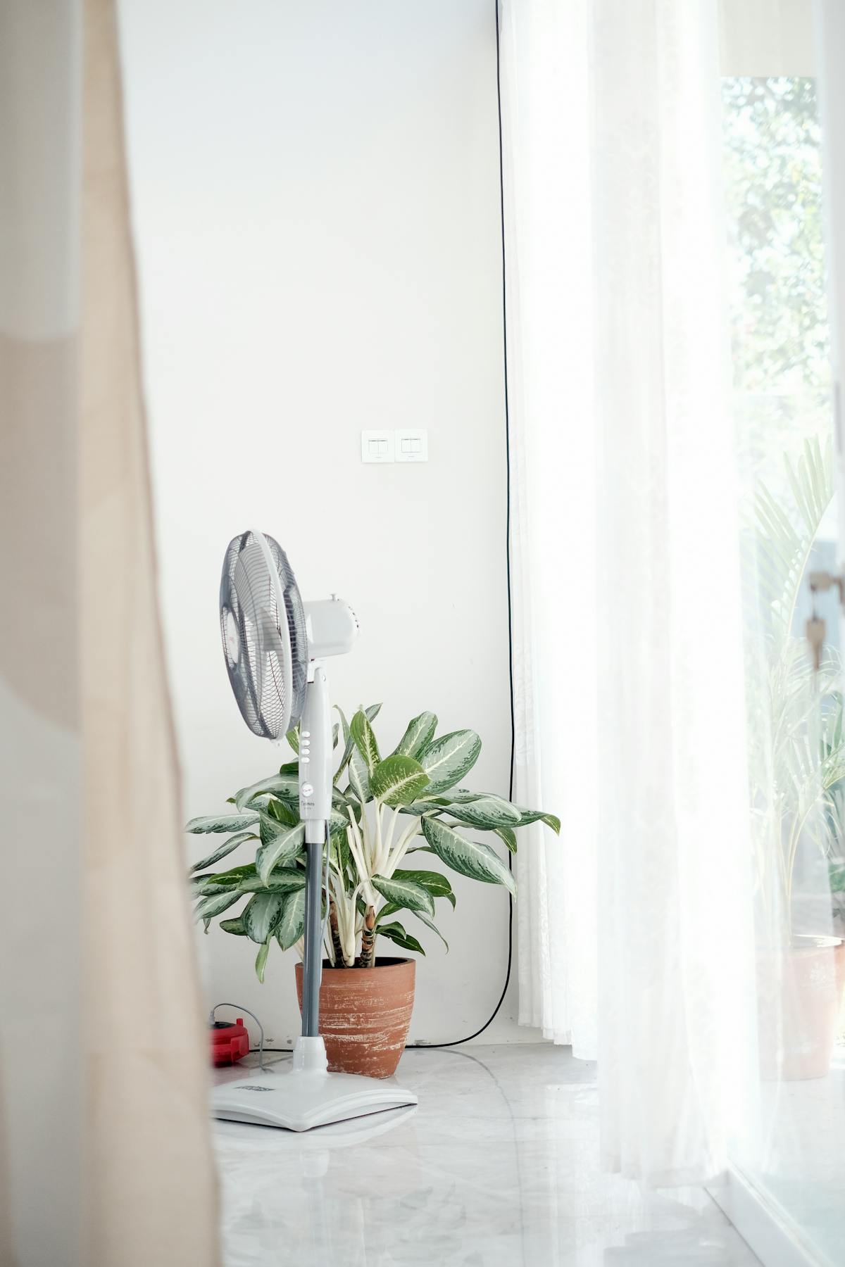 A modern minimalist interior featuring a standing fan and a potted plant