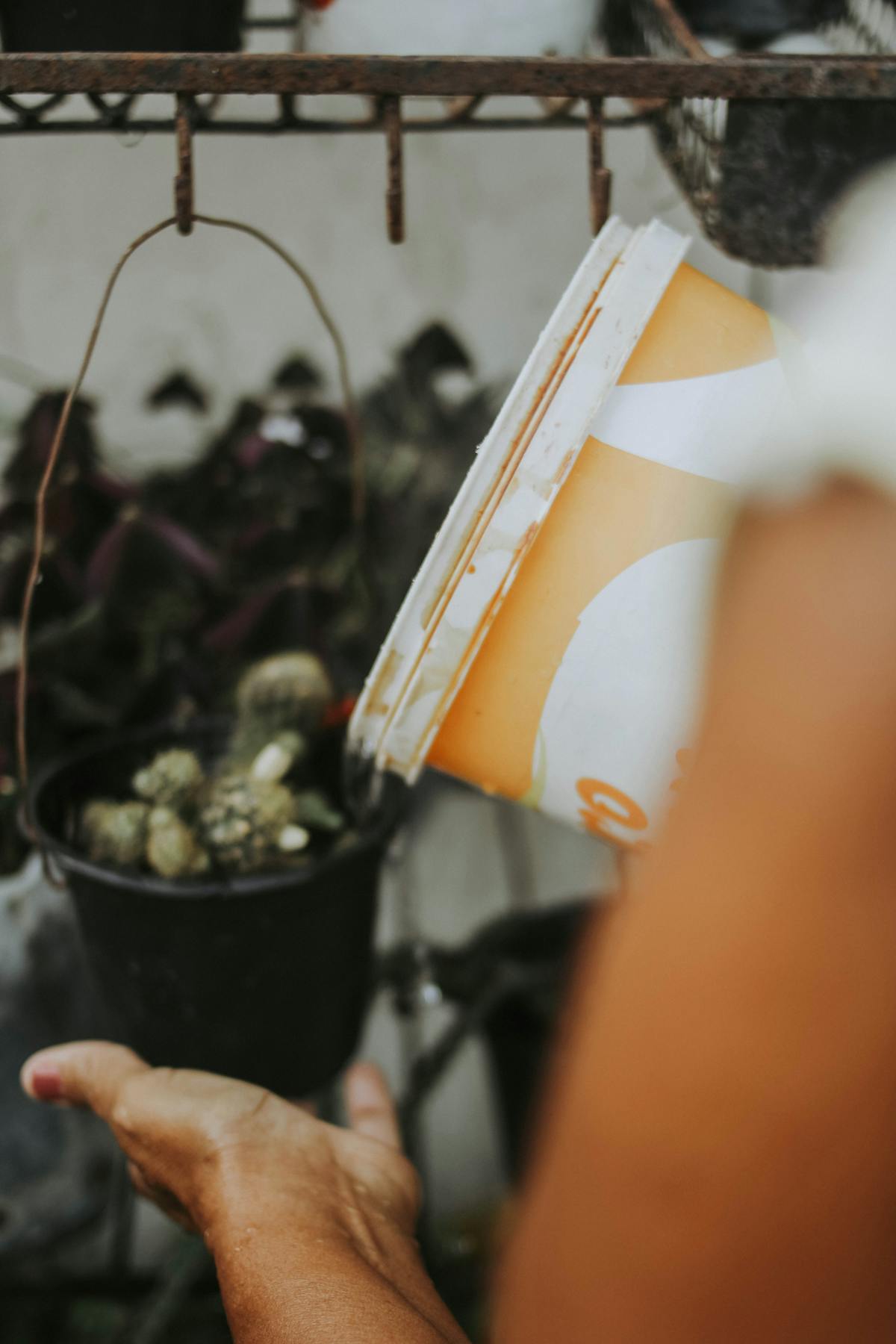 Person watering plants in a garden using a metal bucket — the bath vessel and water source serve the same function in indoor bottom-watering