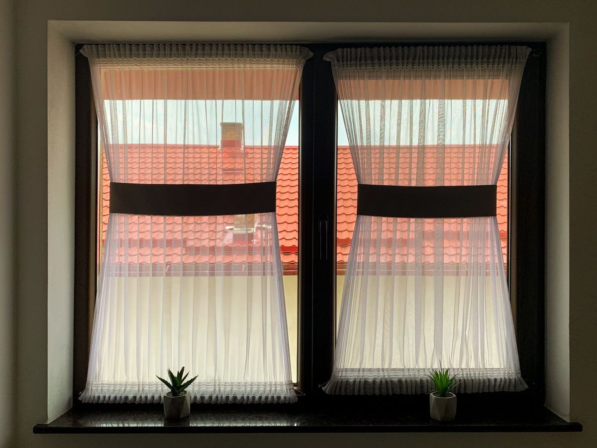Sheer-curtained window with potted plants on the sill — bright indirect placement for peperomia alba