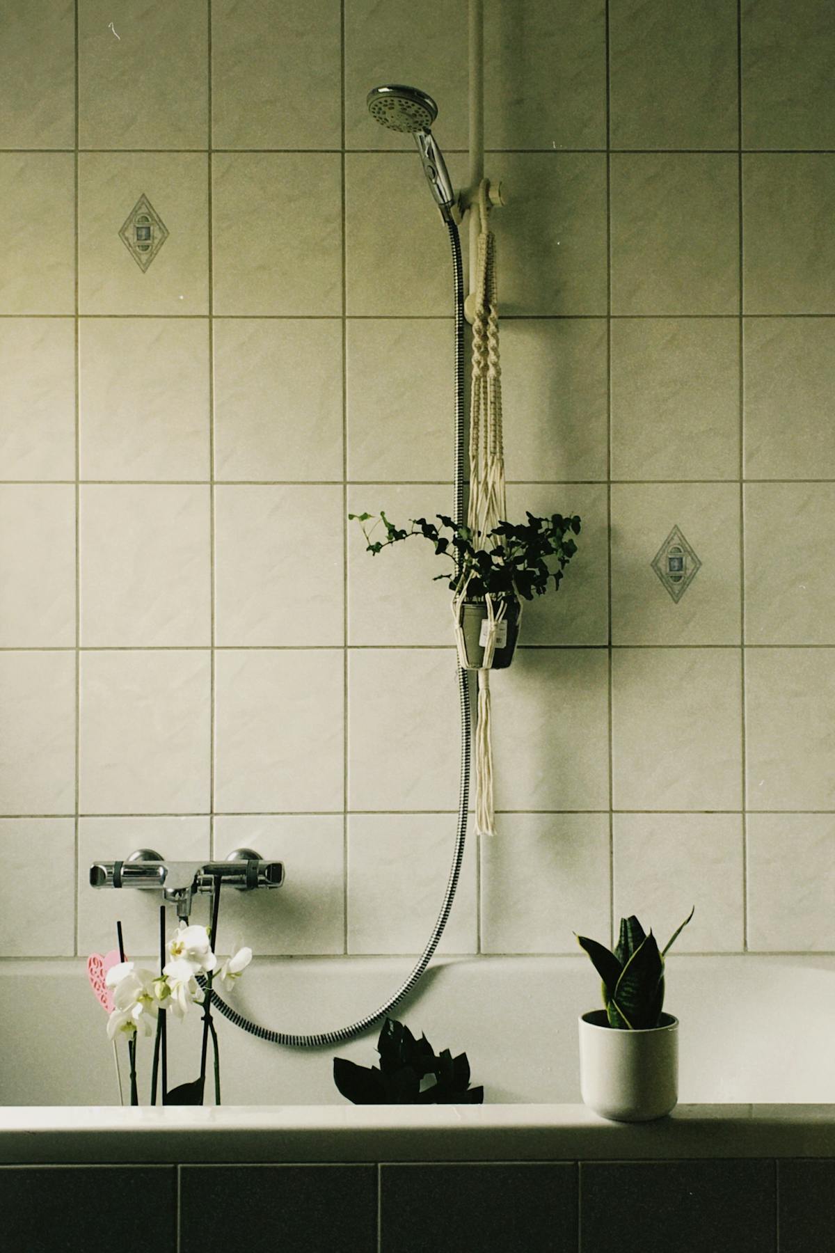 Tranquil bathroom scene with houseplants and a decorative shower setting, showing optimal placement away from direct water splashes