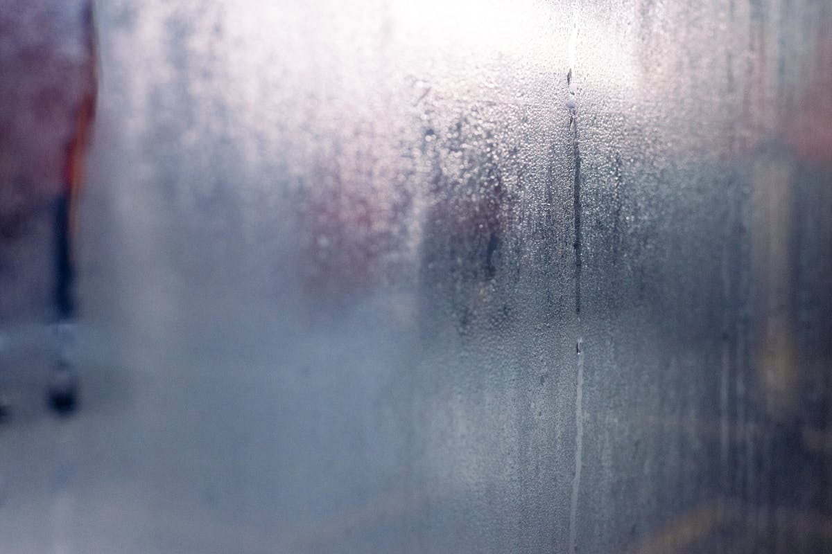 Moisture and condensation on a cold window pane — the configuration that drops leaf-surface temperature below 10°C and ruptures cells into dark patches