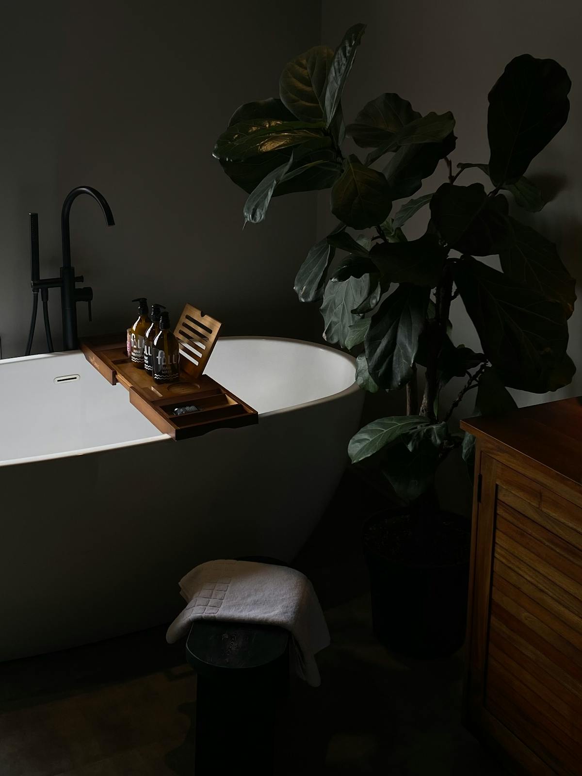Lush indoor plants in a modern bathroom featuring natural light and stone textures, creating a serene botanical environment