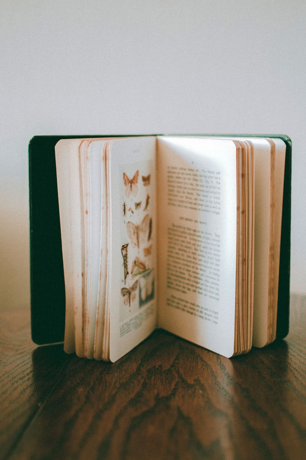 Open vintage natural-history book with scientific illustrations on a wooden table