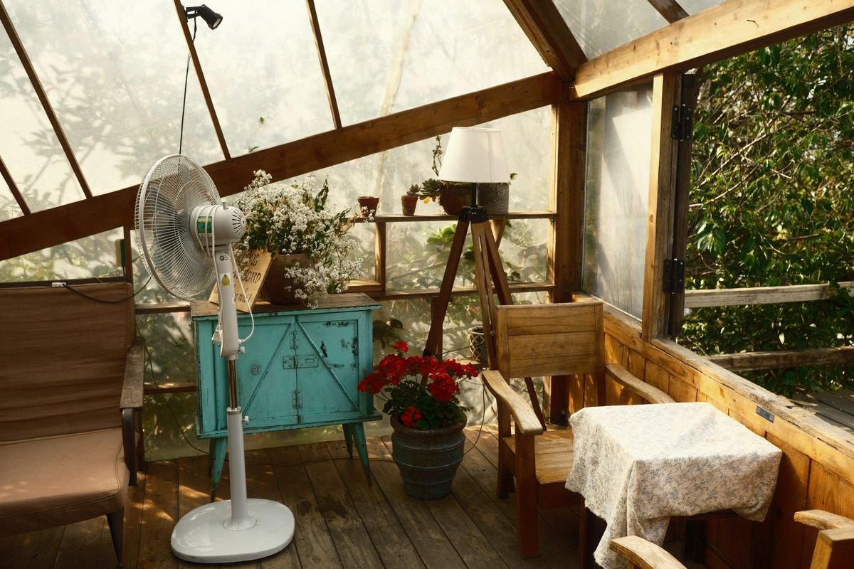 Indoor greenhouse corner with wooden furniture and a fan — airflow that dries the canopy and slows peperomia leaf spot spread