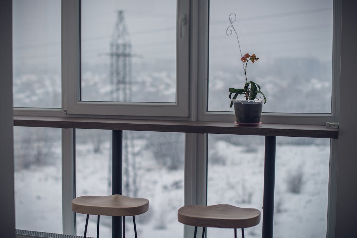 Tranquil indoor space with a houseplant by a window, overlooking a winter landscape