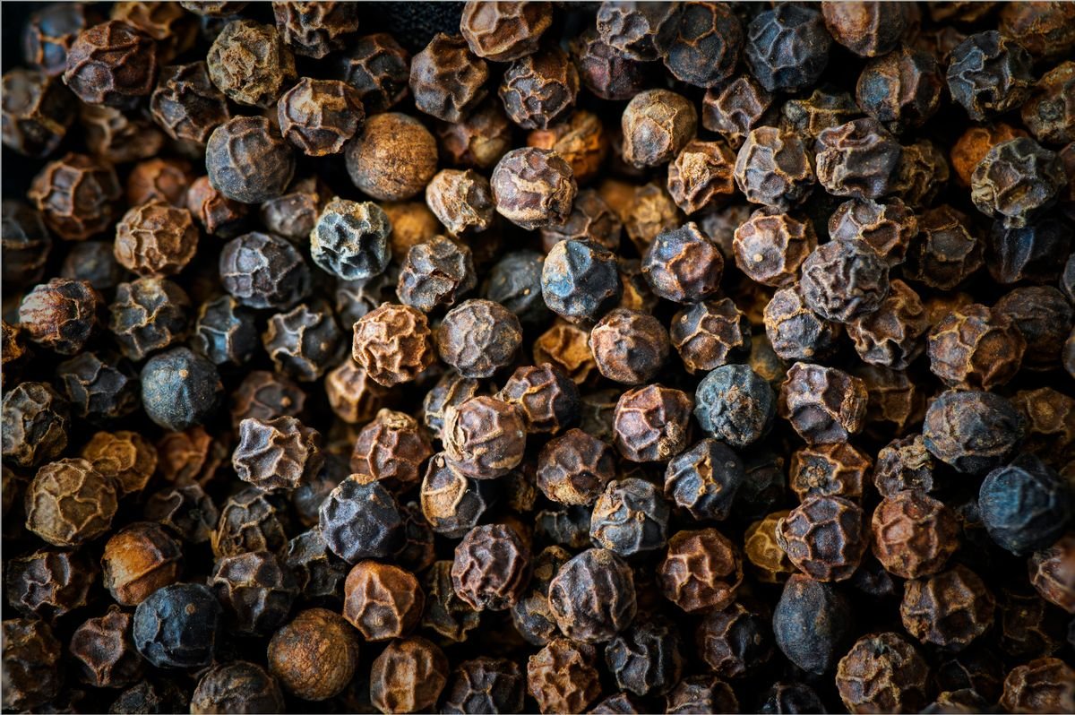 Whole black peppercorns in macro — culinary pepper comes from Piper nigrum, not Peperomia obtusifolia leaves