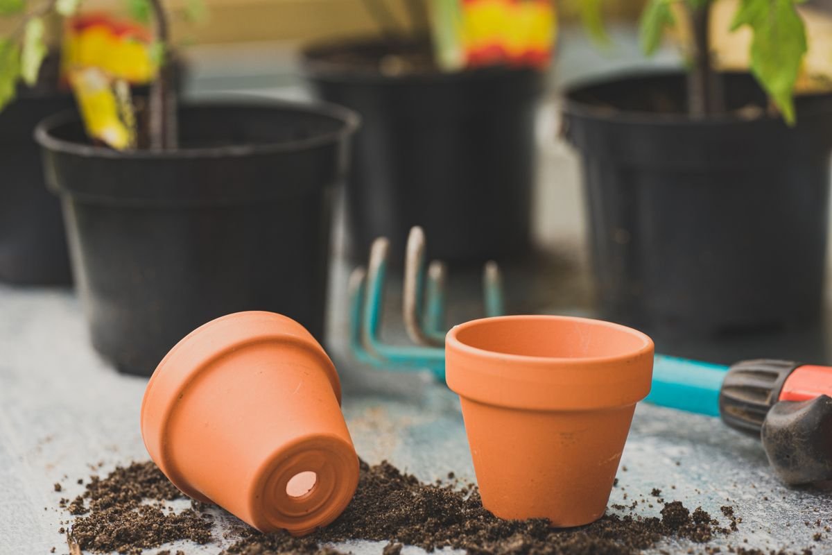 Substrate Physics: Terracotta vs. Plastic