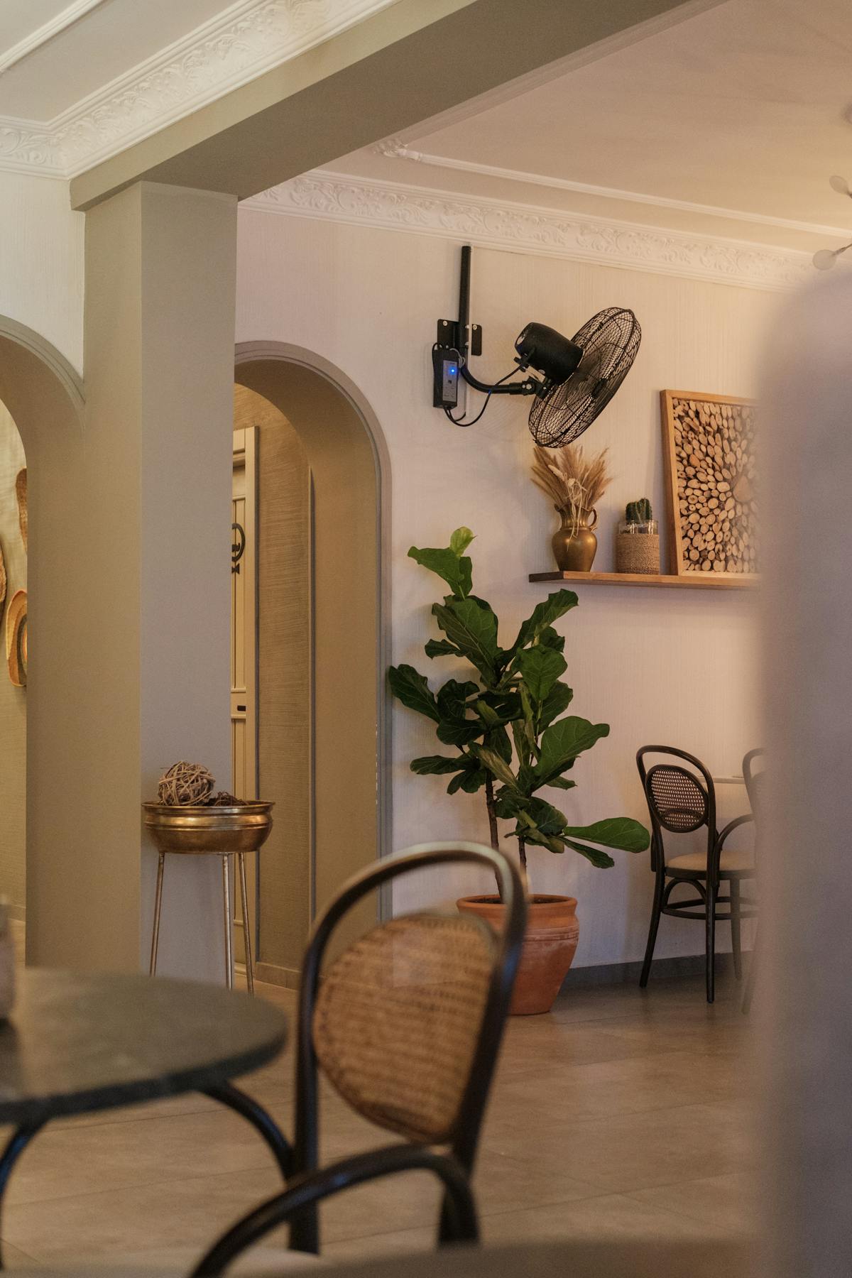 A living room with a wall-mounted fan beside a potted plant — the airflow source that restores the transpiration gradient at the leaf surface
