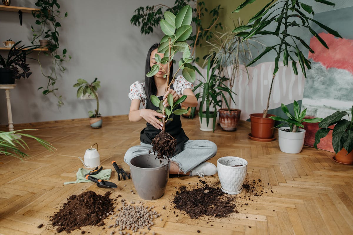 A woman carefully repotting a plant indoors surrounded by various greenery and gardening tools